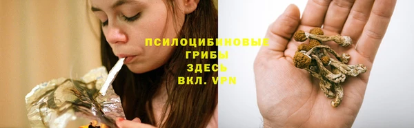 круглые Иннополис