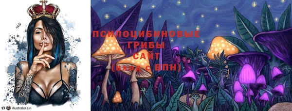круглые Иннополис