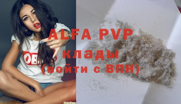 круглые Иннополис