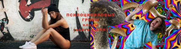мяу мяу кристалл Инсар