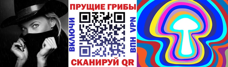 Псилоцибиновые грибы Cubensis  Купить закладки  Луховицы 